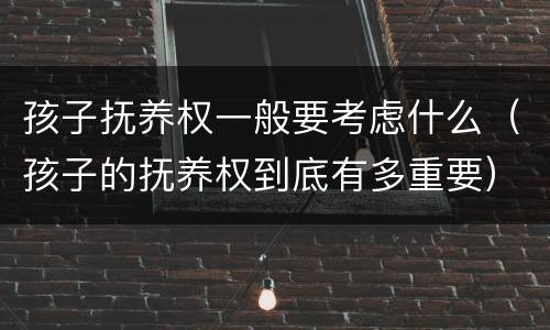 孩子抚养权一般要考虑什么（孩子的抚养权到底有多重要）