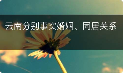 云南分别事实婚姻、同居关系