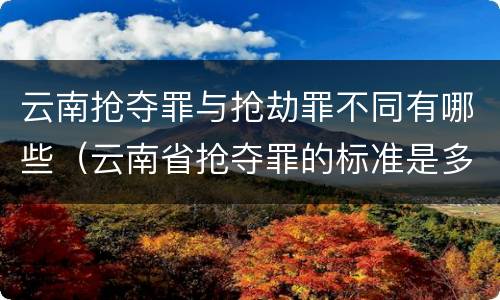 云南抢夺罪与抢劫罪不同有哪些（云南省抢夺罪的标准是多少?）