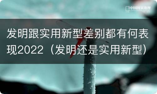 发明跟实用新型差别都有何表现2022（发明还是实用新型）