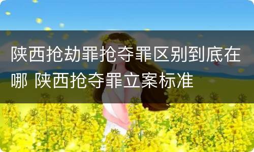 陕西抢劫罪抢夺罪区别到底在哪 陕西抢夺罪立案标准