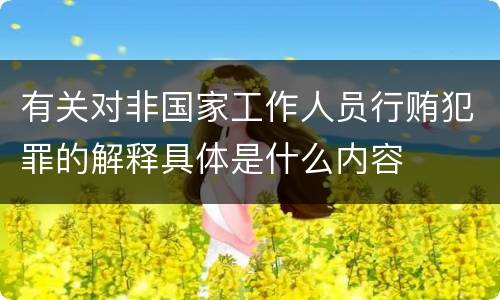 有关对非国家工作人员行贿犯罪的解释具体是什么内容