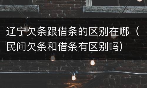 辽宁欠条跟借条的区别在哪（民间欠条和借条有区别吗）