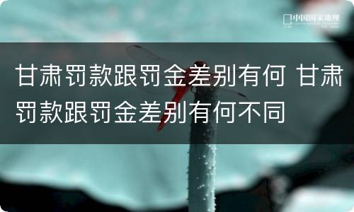 甘肃罚款跟罚金差别有何 甘肃罚款跟罚金差别有何不同