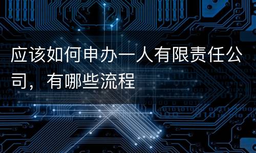 应该如何申办一人有限责任公司，有哪些流程