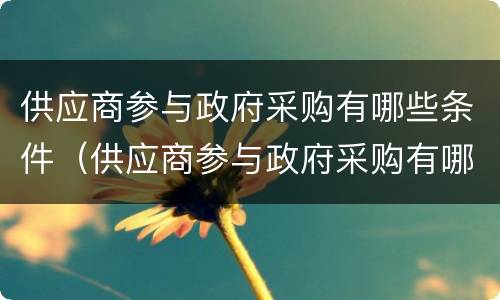 供应商参与政府采购有哪些条件（供应商参与政府采购有哪些条件和要求）