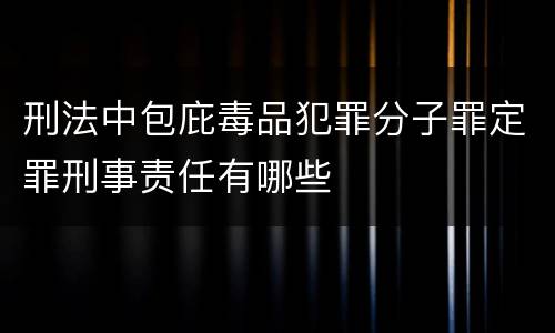 刑法中包庇毒品犯罪分子罪定罪刑事责任有哪些