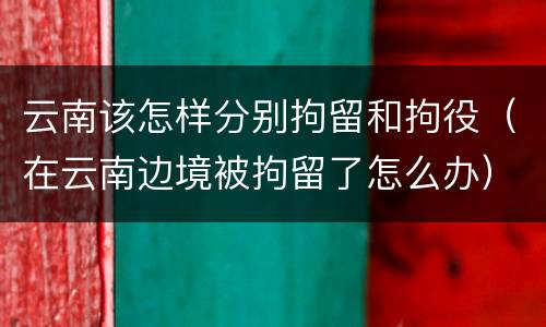 云南该怎样分别拘留和拘役（在云南边境被拘留了怎么办）