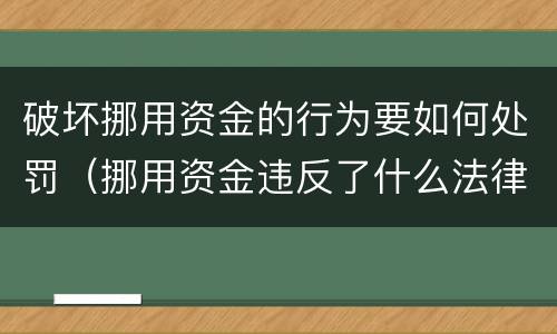 破坏挪用资金的行为要如何处罚（挪用资金违反了什么法律法规）