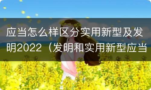应当怎么样区分实用新型及发明2022（发明和实用新型应当具备）