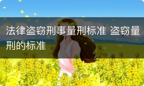 法律盗窃刑事量刑标准 盗窃量刑的标准