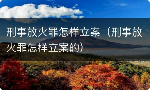刑事放火罪怎样立案（刑事放火罪怎样立案的）