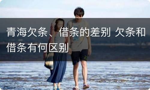 青海欠条、借条的差别 欠条和借条有何区别