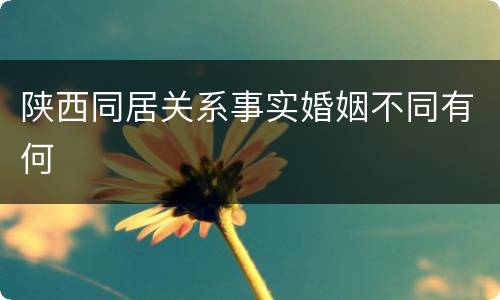陕西同居关系事实婚姻不同有何