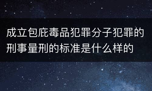 成立包庇毒品犯罪分子犯罪的刑事量刑的标准是什么样的