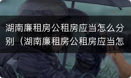 湖南廉租房公租房应当怎么分别（湖南廉租房公租房应当怎么分别购买）