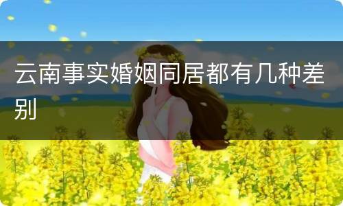 云南事实婚姻同居都有几种差别