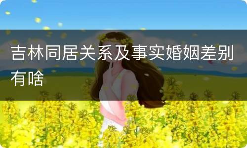 吉林同居关系及事实婚姻差别有啥