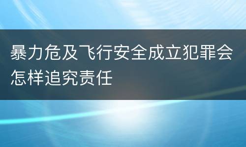 暴力危及飞行安全成立犯罪会怎样追究责任