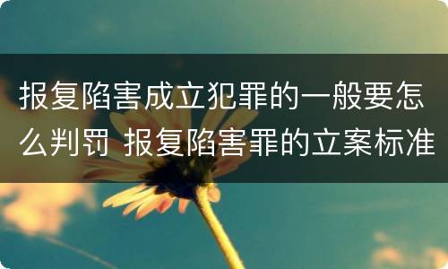 报复陷害成立犯罪的一般要怎么判罚 报复陷害罪的立案标准