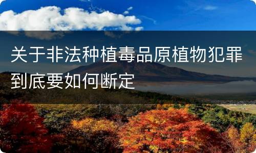 关于非法种植毒品原植物犯罪到底要如何断定