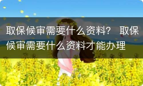 取保候审需要什么资料？ 取保候审需要什么资料才能办理