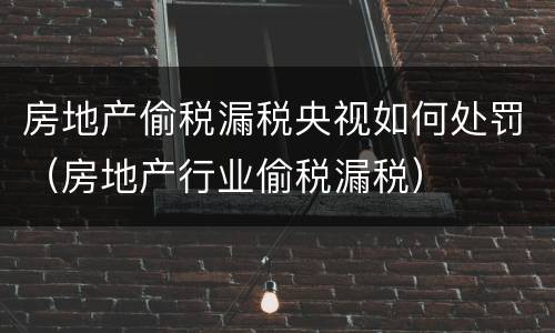 房地产偷税漏税央视如何处罚（房地产行业偷税漏税）