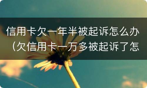 信用卡欠一年半被起诉怎么办（欠信用卡一万多被起诉了怎么办）