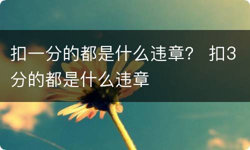 扣一分的都是什么违章？ 扣3分的都是什么违章