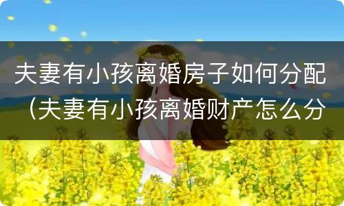 夫妻有小孩离婚房子如何分配（夫妻有小孩离婚财产怎么分配）