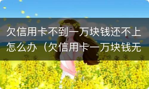欠信用卡不到一万块钱还不上怎么办（欠信用卡一万块钱无力偿还怎么办）