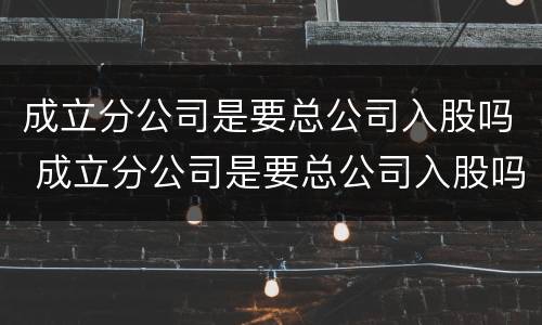 成立分公司是要总公司入股吗 成立分公司是要总公司入股吗
