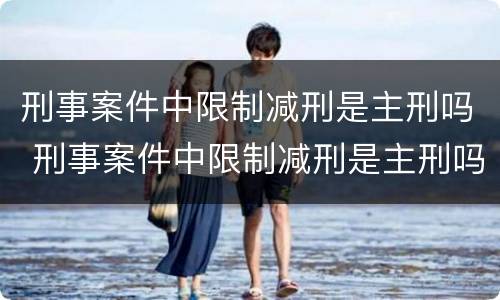 刑事案件中限制减刑是主刑吗 刑事案件中限制减刑是主刑吗还是副刑