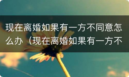现在离婚如果有一方不同意怎么办（现在离婚如果有一方不同意怎么办理）