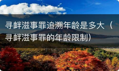 寻衅滋事罪追溯年龄是多大（寻衅滋事罪的年龄限制）