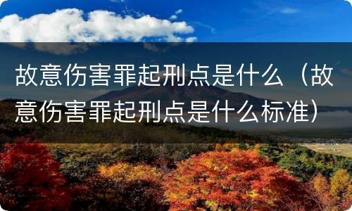 故意伤害罪起刑点是什么（故意伤害罪起刑点是什么标准）
