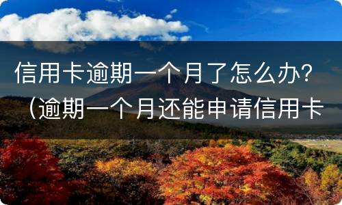信用卡逾期一个月了怎么办？（逾期一个月还能申请信用卡吗）