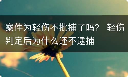 案件为轻伤不批捕了吗？ 轻伤判定后为什么还不逮捕