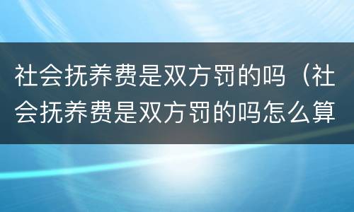 社会抚养费是双方罚的吗（社会抚养费是双方罚的吗怎么算）