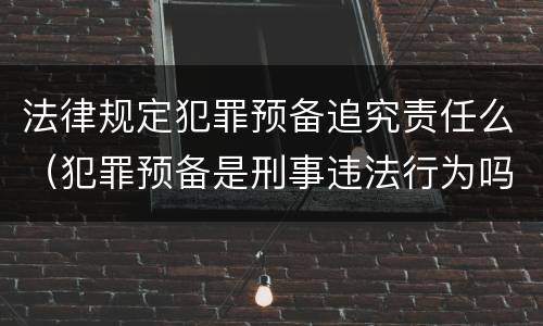 法律规定犯罪预备追究责任么（犯罪预备是刑事违法行为吗）