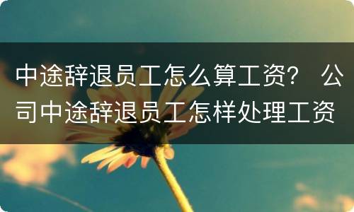 中途辞退员工怎么算工资？ 公司中途辞退员工怎样处理工资
