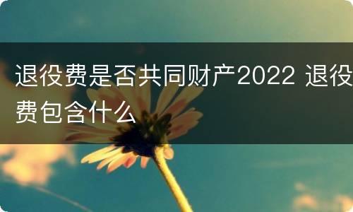退役费是否共同财产2022 退役费包含什么
