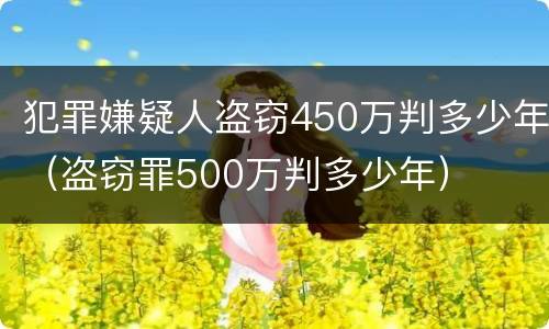 犯罪嫌疑人盗窃450万判多少年（盗窃罪500万判多少年）
