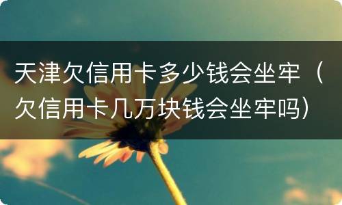 天津欠信用卡多少钱会坐牢（欠信用卡几万块钱会坐牢吗）