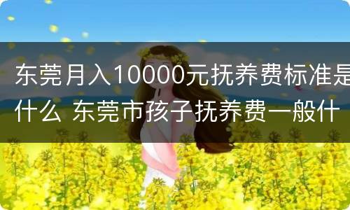 东莞月入10000元抚养费标准是什么 东莞市孩子抚养费一般什么标准