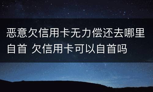 恶意欠信用卡无力偿还去哪里自首 欠信用卡可以自首吗