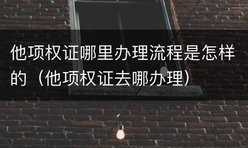 他项权证哪里办理流程是怎样的（他项权证去哪办理）