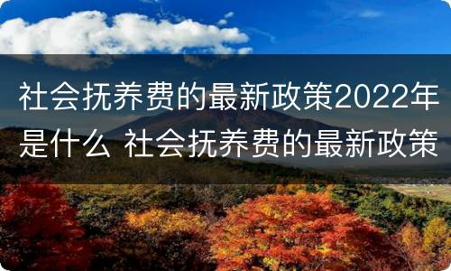社会抚养费的最新政策2022年是什么 社会抚养费的最新政策2022年是什么时候