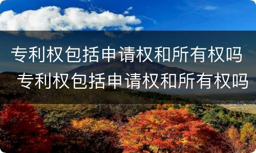 专利权包括申请权和所有权吗 专利权包括申请权和所有权吗为什么