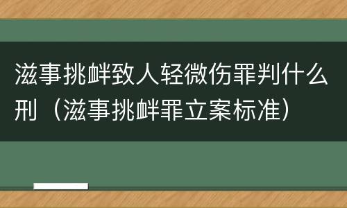 滋事挑衅致人轻微伤罪判什么刑（滋事挑衅罪立案标准）